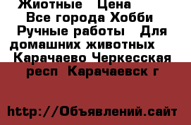 Жиотные › Цена ­ 50 - Все города Хобби. Ручные работы » Для домашних животных   . Карачаево-Черкесская респ.,Карачаевск г.